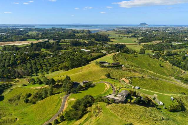 49C Walden Lane Te Puna_1