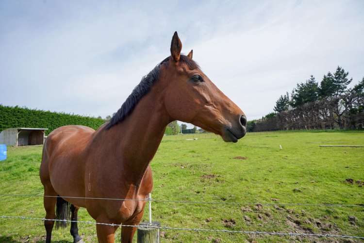 72 Millton Park Road Mill Road_36