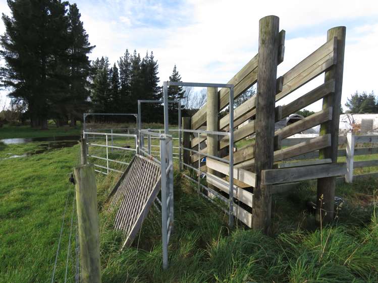 70 Yaxleys Road Loburn_5