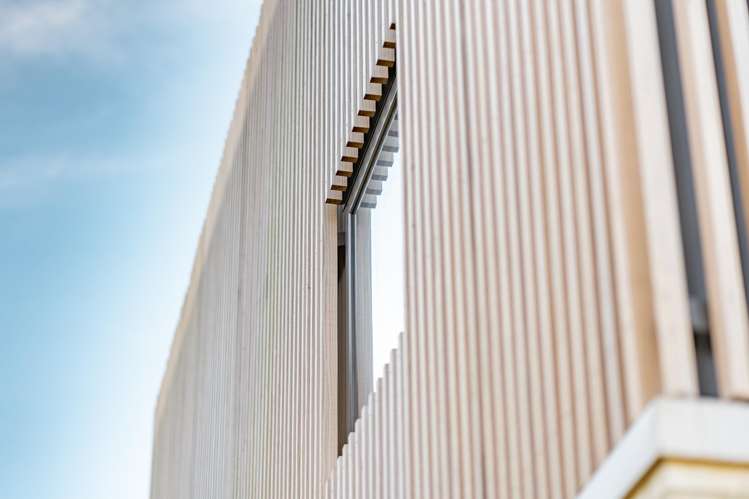 302 Cannon Hill Crescent Mount Pleasant_23