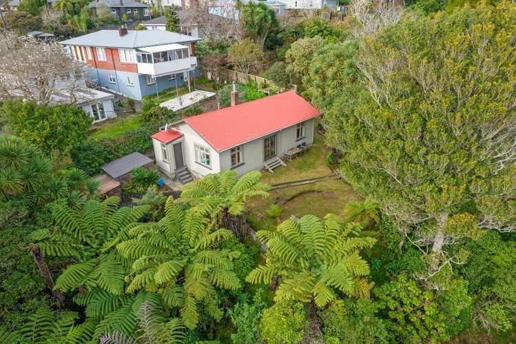 6a Ballance Street Lower Vogeltown_21