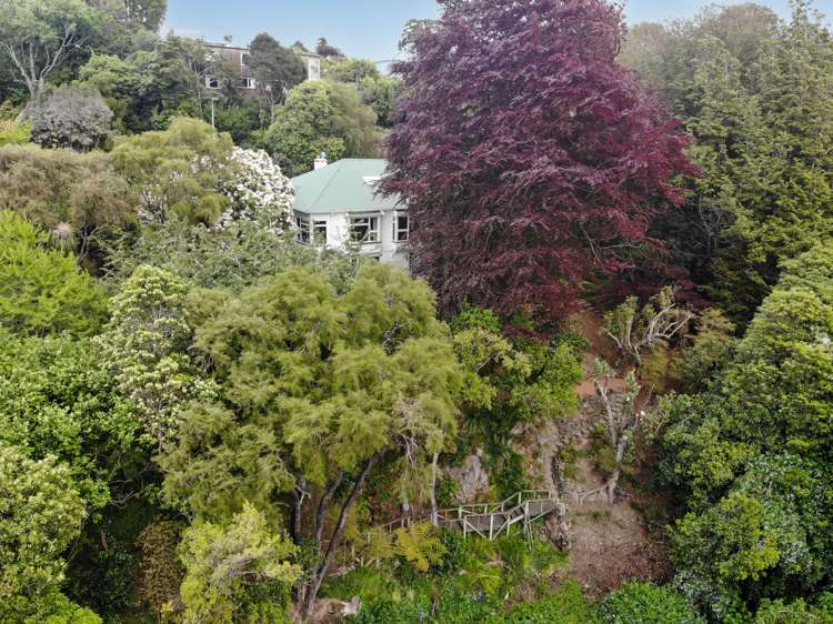 24 Braeview Crescent Maori Hill_27