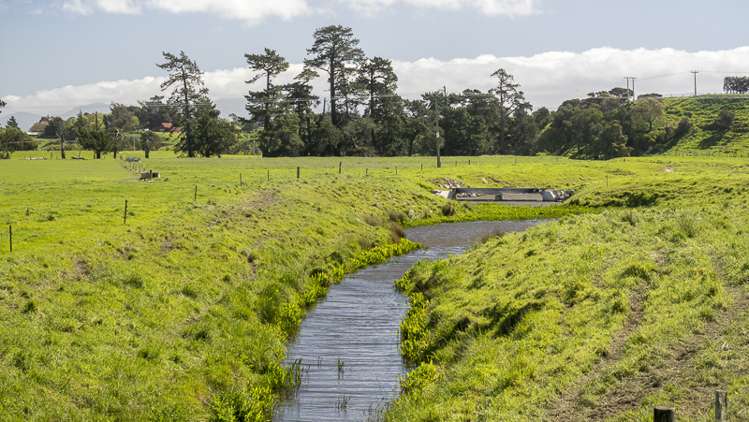 178 Pahautea Road Kahutara_7