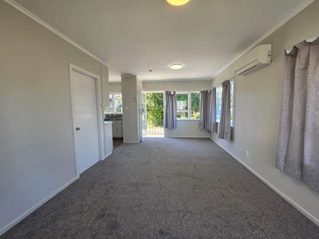  1/132 Browns Road Manurewa_3