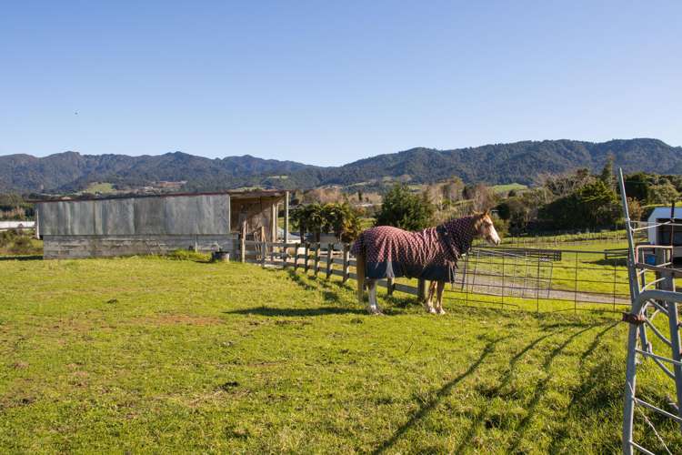 155 Henry Road Katikati_15