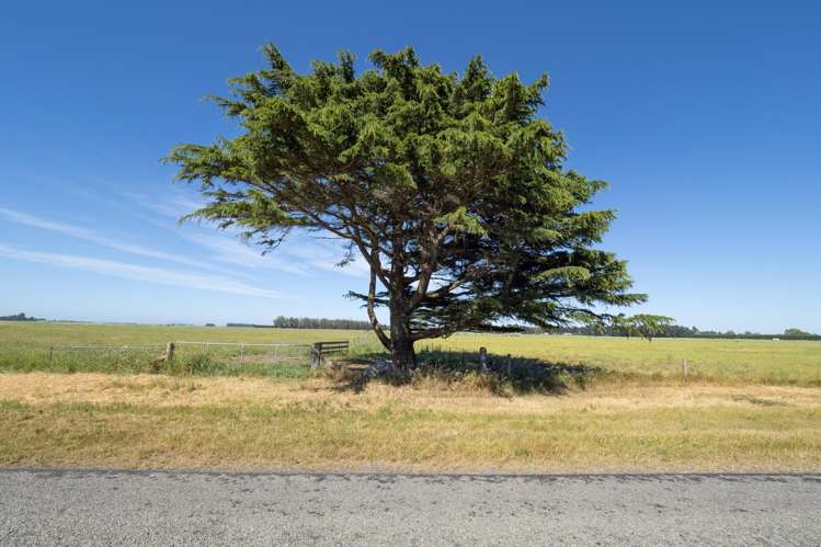 Lot 4 Acton Road Rakaia_7