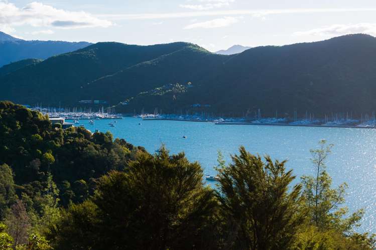 238B Port Underwood Road Waikawa_21