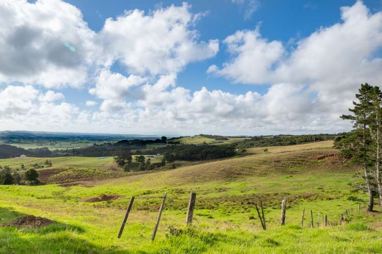 419 Kiwitahi Road Helensville_10