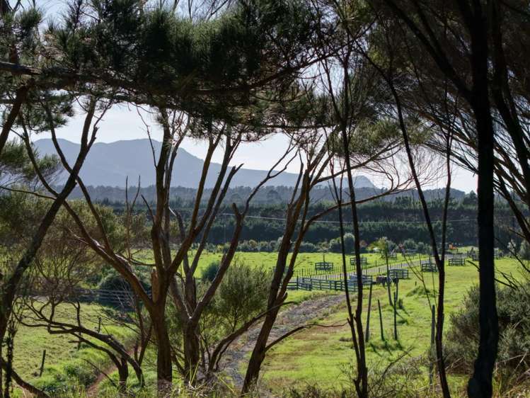 212C Whalers Road Pukenui_18