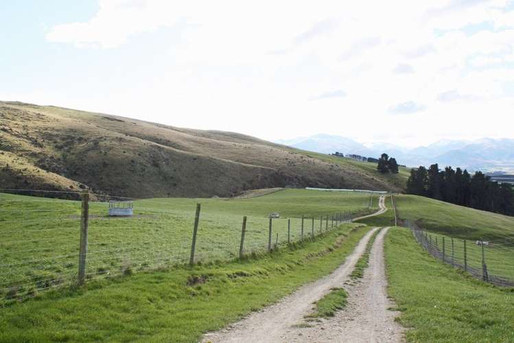 483 School Road Fairlie_7