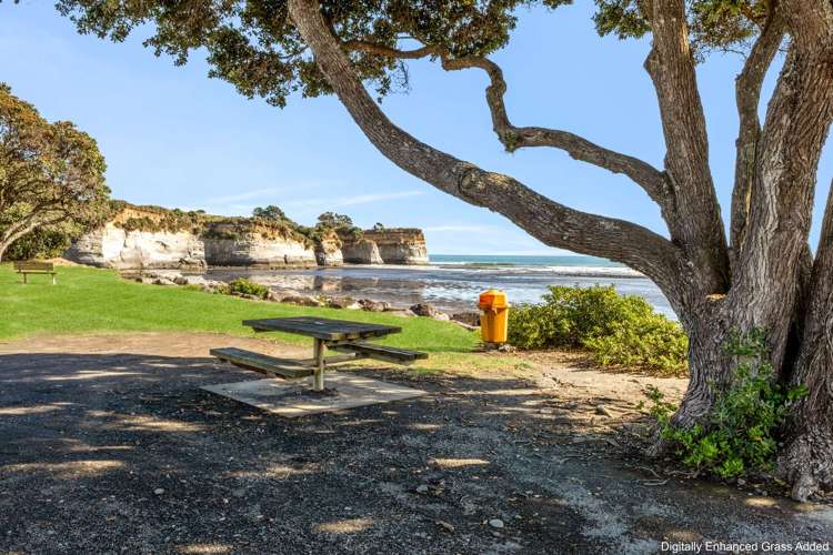 65 State Highway 3 Urenui_28