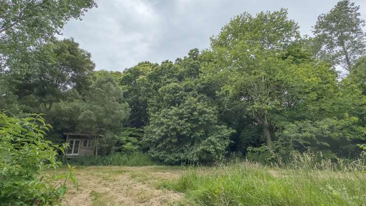 654 Kauaeranga Valley Road Thames_22