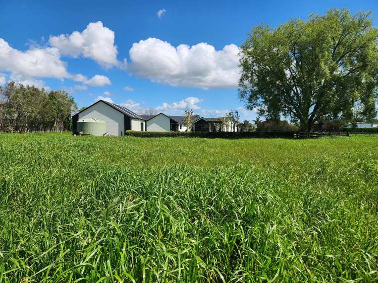 431 Horotiu Road Te Kowhai_45