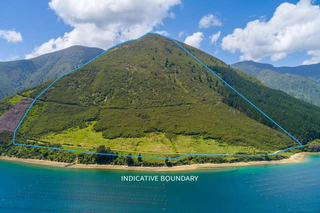 Explore Boundless Potential in Clova Bay