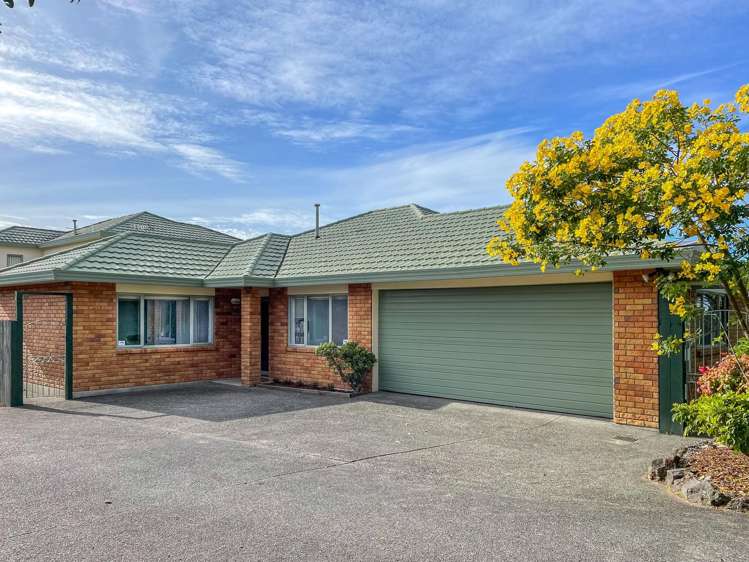 7a Alberta Street Point Chevalier_0