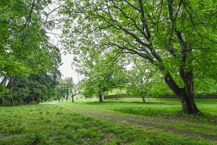 4883 State Highway 2 Putorino_2