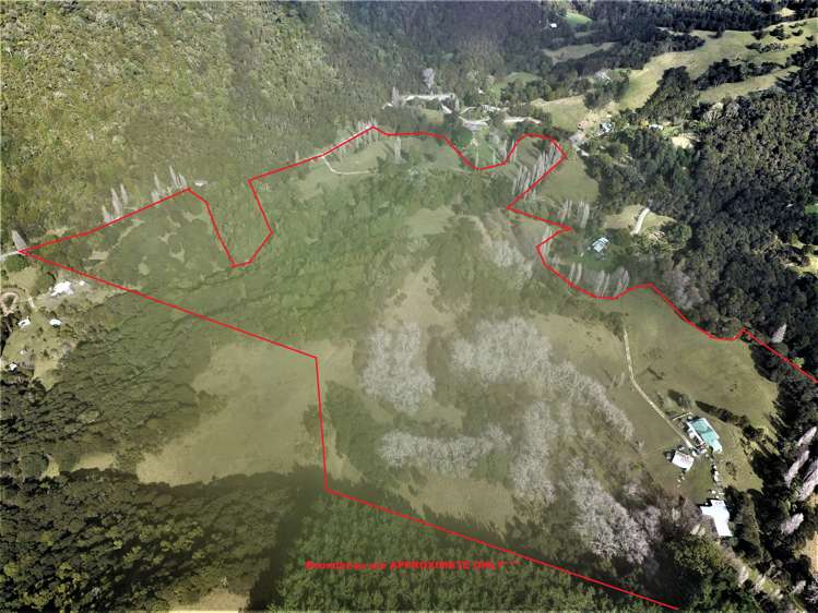 424 Paranui-Toatoa Road Taipa_14