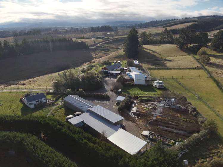 554 Carrs Road Loburn_3