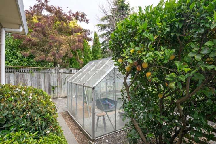 26 Fyffe Street Witherlea_20