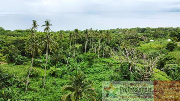 Address withheld Taveuni_9