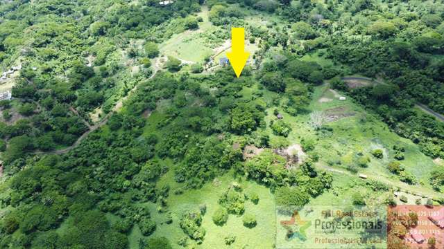 Address withheld Taveuni_3