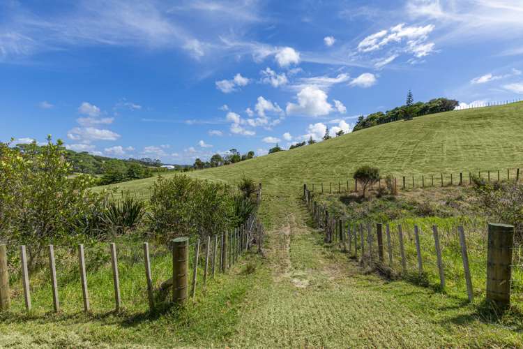 221B Mahoenui Valley Road Coatesville_9