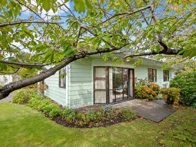 41 Howick Road Redwoodtown_3