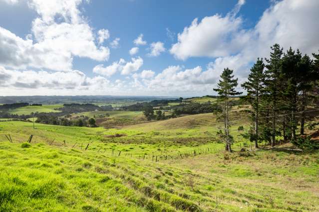 419 Kiwitahi Road Helensville_3