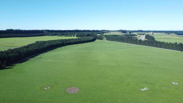 108 Klondyke Terrace Mayfield_6