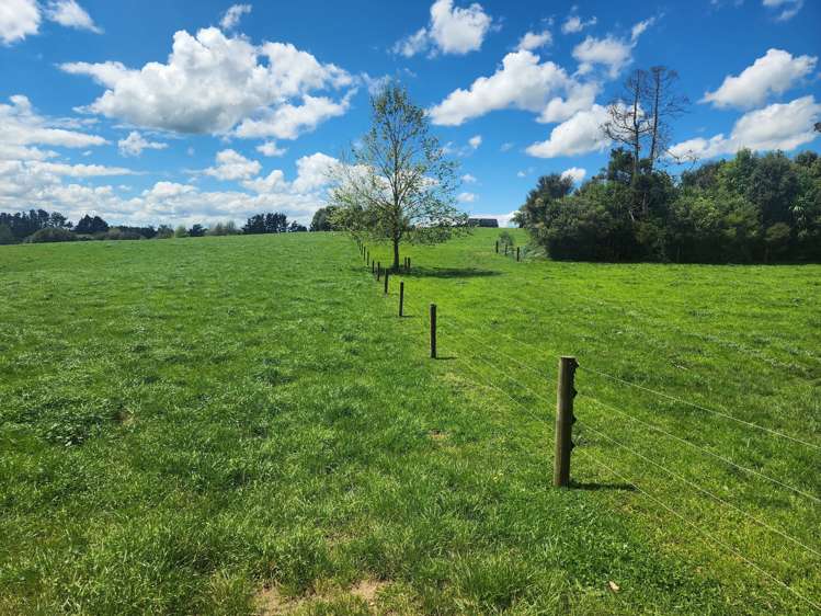 1664a Gordonton Road Taupiri_20