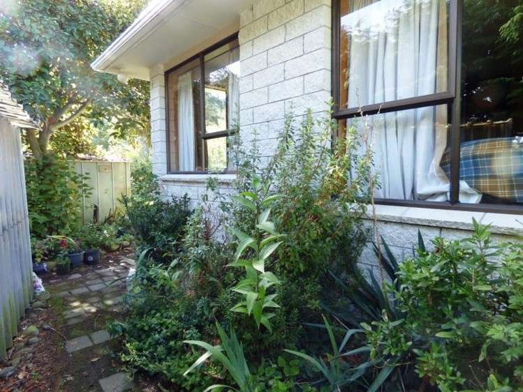 384 Whitecliffs Road Whitecliffs_15