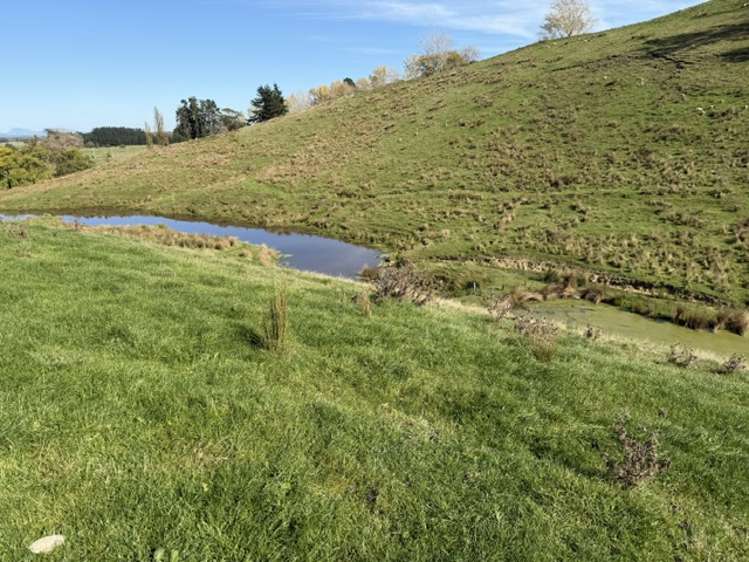 235 Te Ore Ore-Bideford Road Masterton_6