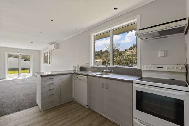 7 South Street Taumarunui_1