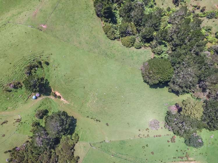 430 Krippner Road Puhoi_16