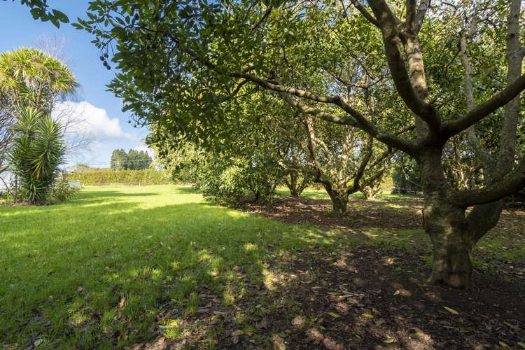 332r Oropi Road Oropi_10