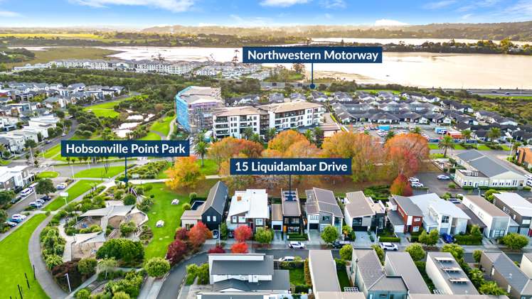 15 Liquidambar Drive Hobsonville_29