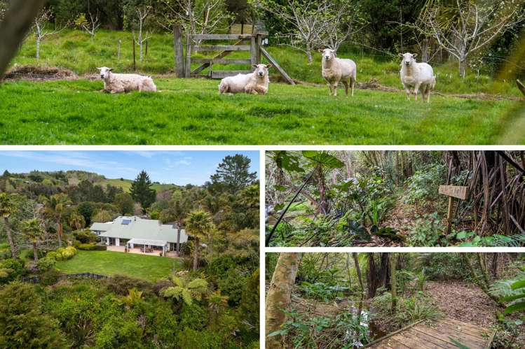 40 Walden Lane Te Puna_32