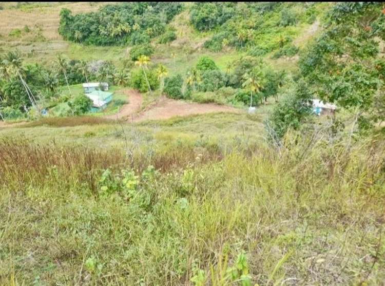 Lot 1 Off Solove Road Wailevu Labasa_6