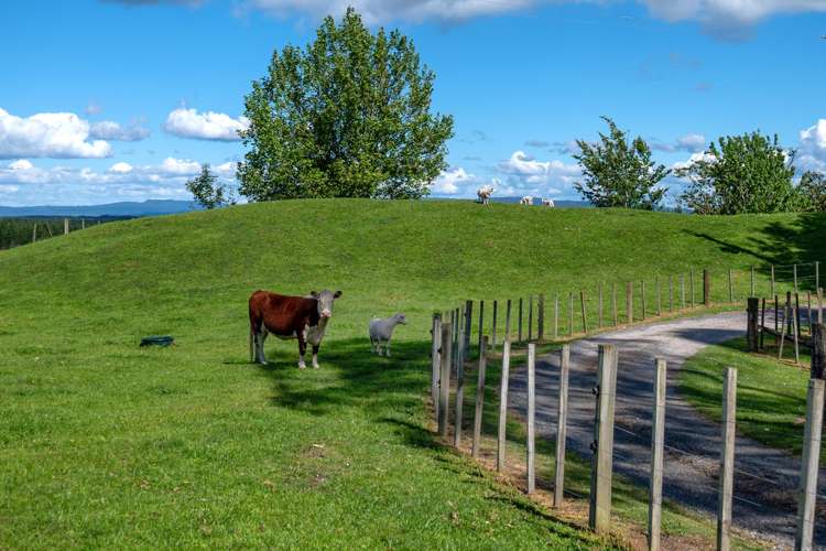 538 Kapukapu Road Kaharoa_32