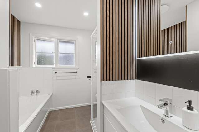 12 Newport Street Avondale_1