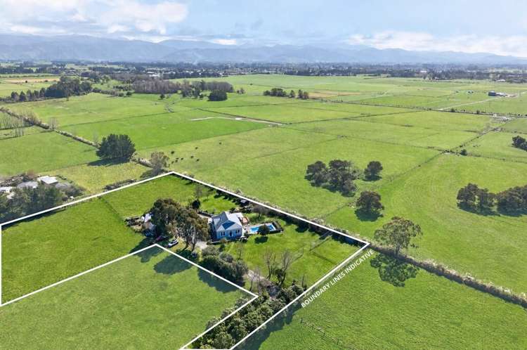 62A Cross Line Greytown_33