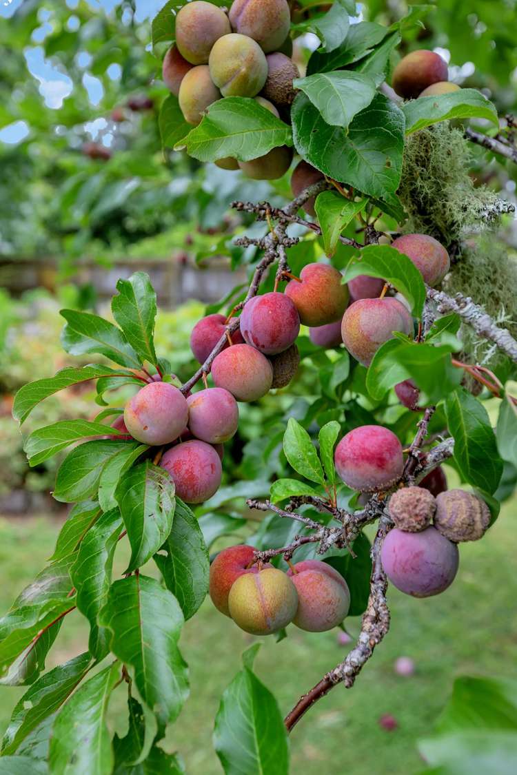 568 State Highway 14 Maunu_35