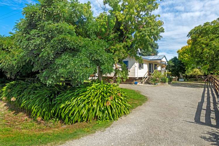 31 Branson Road Waipaoa_17