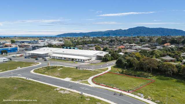 38 Bradford Street Paraparaumu_2