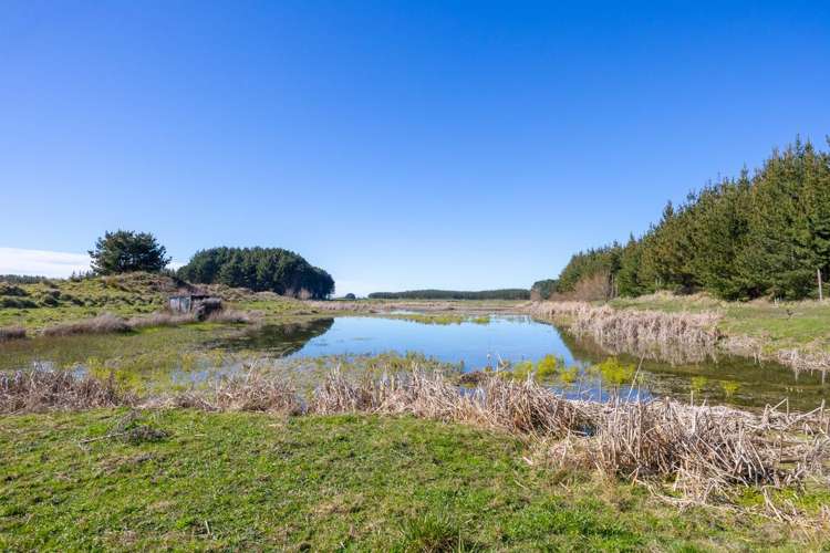 725 Raumai Road Bulls_14