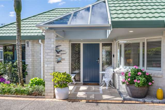 44 Cook Street Howick_3