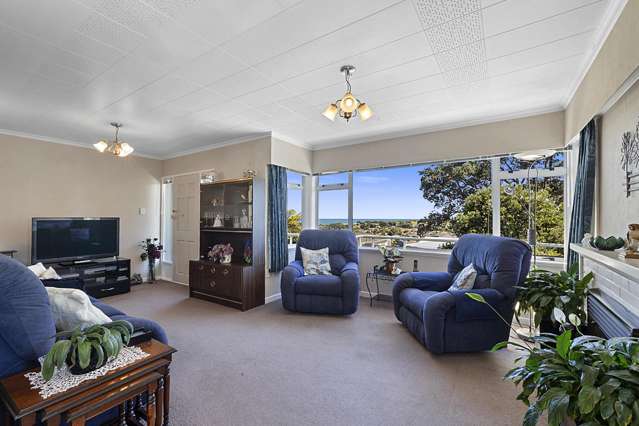 18 Mount View Place Spotswood_3