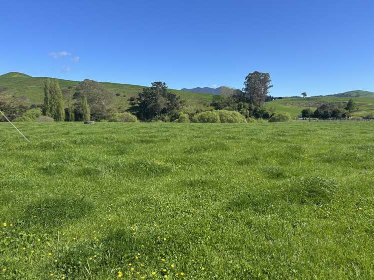 51 Kiwi Road Pirongia_8