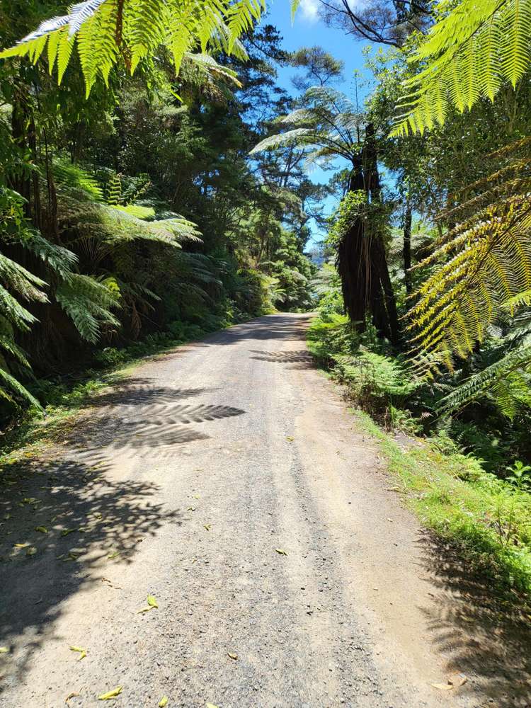 50 Schoolhouse Bay Road Kawau Island_21