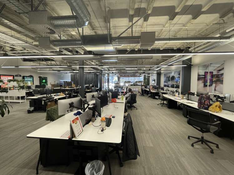 22 Pollen Street Grey Lynn_2